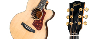 Parlor Rosewood AG 2018
