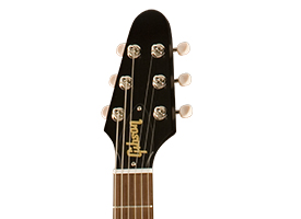 Headstock.jpg