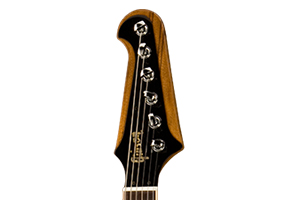 Neck and Headstock