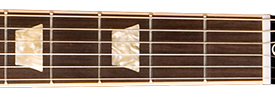 Fingerboard